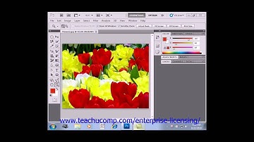 Photoshop CS6 Tutorial Bitmap Images Adobe Training