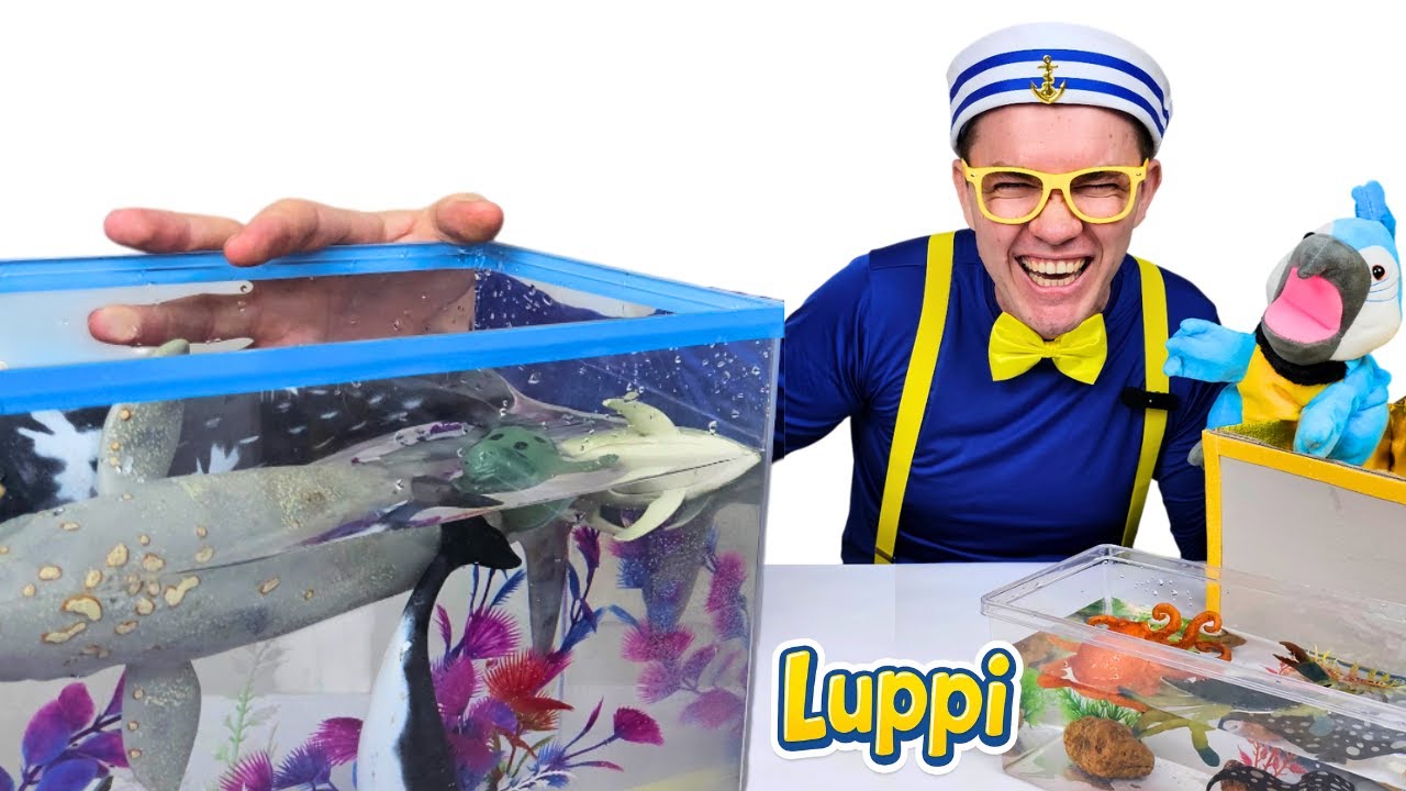 Animais Marinhos para Crianças: Aprendendo sobre Mamíferos com Brinquedos!