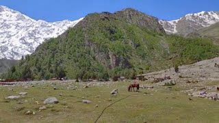 Fairy Meadows: Pakistan's Hidden Paradise