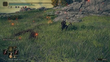 Fromsoftware Please Ban This Hacker | Elden Ring Pvp Is Done