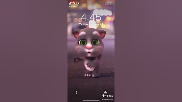 Gato dançando