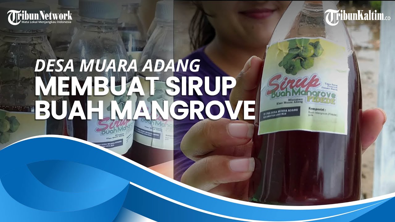 Desa Muara Adang Membuat Sirup Buah Mangrove. Berikut Proses Pembuatannya