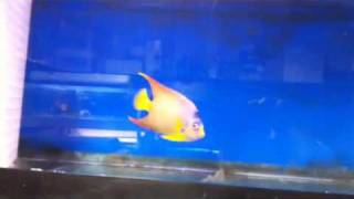 Royal Aqua World