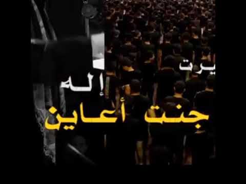 حالات واتس اب باسم الكربلائي انه اول من عاشت جديد محرم1441 2019