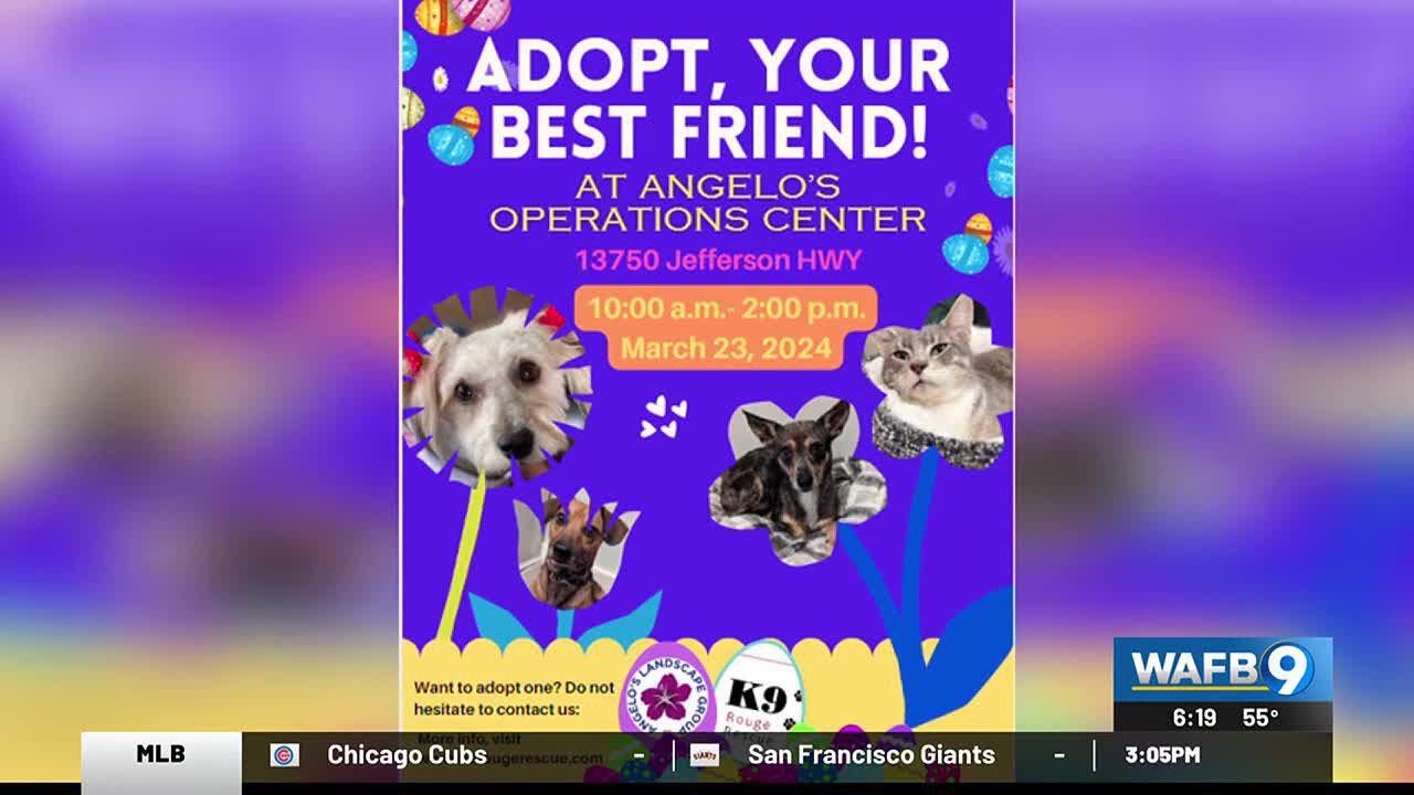 Pet adoption event happening on March 23 - YouTube