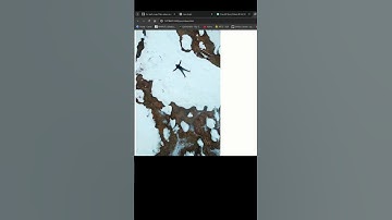 SET A VIDEO IN WEB-PAGE using HTML #html5 #videotag  #css #html