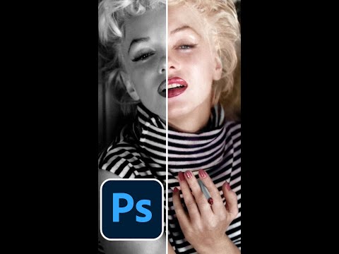 instantly colorize black