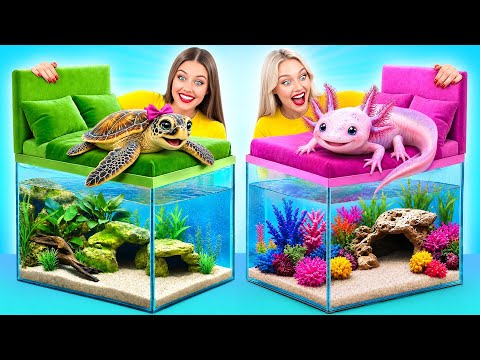 We Build Amazing Aquarium | Axolotl vs Turtle Challenge by Candy DO