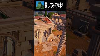 【12/12】見つけられたらすごい！てらごりをさがせ part１ #fortnite #フォートナイト  #shorts #かくれんぼ