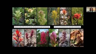 Sarah Jacobs: If it were easy, it wouldn't be Castilleja - YouTube