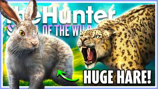 This Snow Leopard Hunt Led Us to an UNEXPECTED DIME!! | theHunter Call of the Wild