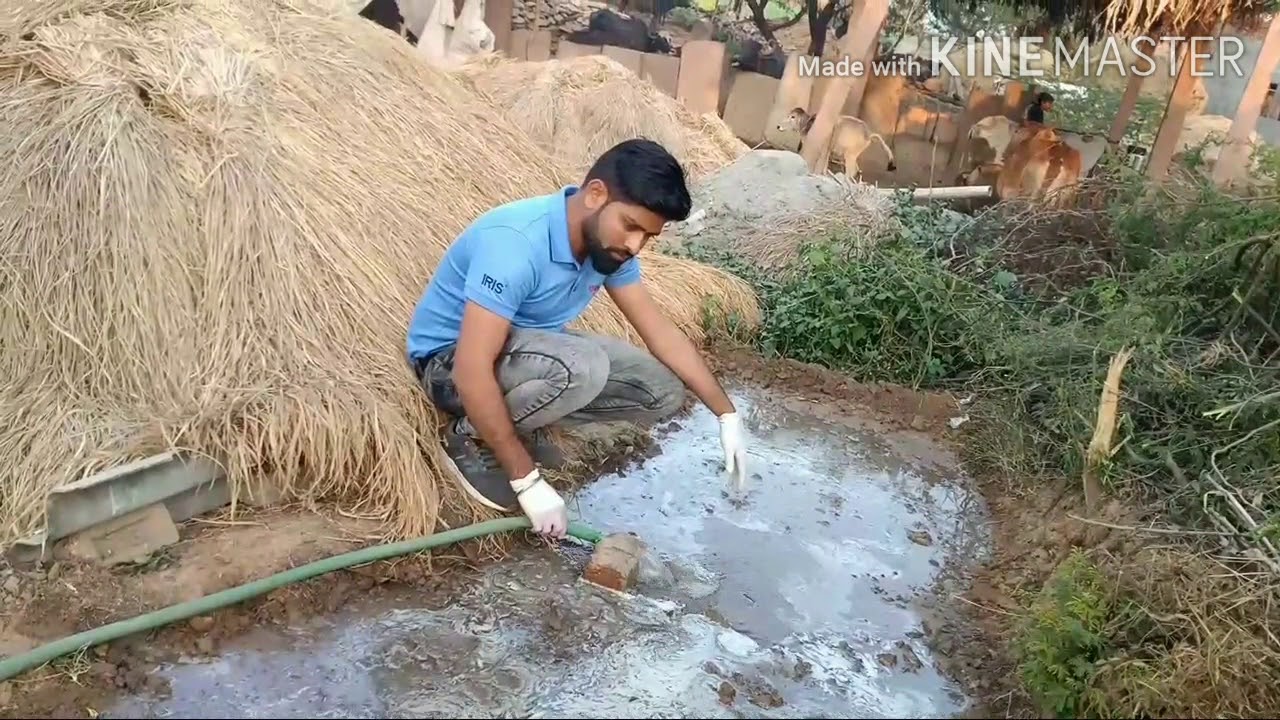 UPL PROVAX + RENO Seed treatment for Paddy YouTube