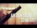 Which pellet should I choose? .22 versus .177 | Gamo Air Guns