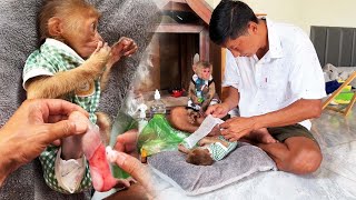 Hope Hurt Her Leg, Uncle Nam Takes Care of Her With Love ❤️🐒