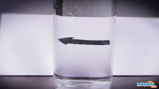 Refraction of Light in Water - Cool Science Experiment for Kids | Kids Education by Mocomi