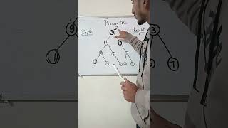 Binary tree depth and height terminology