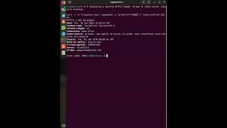 How a single network packet triggers full RCE #shorts