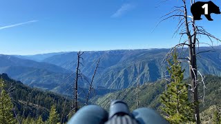 Spring Bear Hunting in the Frank Church - River of No Return Wilderness | Idaho Bear Hunting