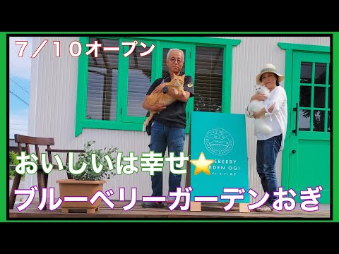 ブルーベリーガーデンおぎの紹介動画サムネイル