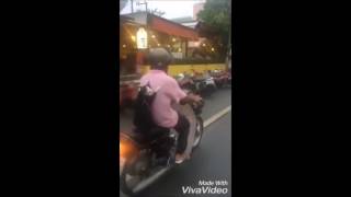 Cat Riding On The Back Of A Scooter