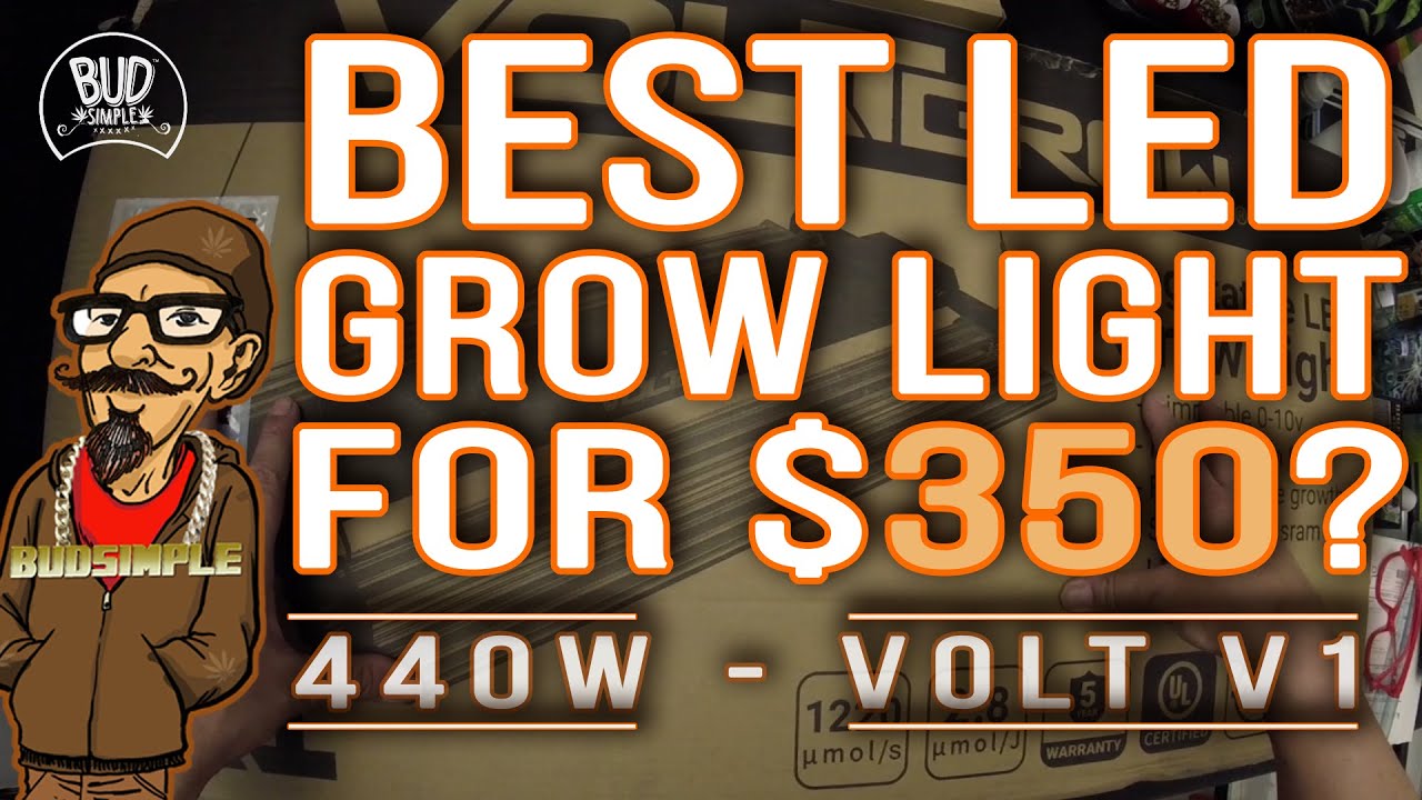 Volt V1 LED Grow Light  -  Is the V1 the best 400w LED Grow Light for $350 and a 5 year warranty?