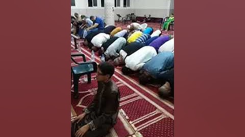 تلاوة الشبل ابراهيم المصري قيام الليلة 25 مسجد الايميان الصبرة #غزة