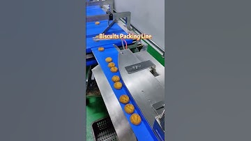 High Quality Food Packaging Machinery Automatic Cookies Sorting Feeding Packing Line | SAYOK