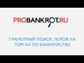 Грамотный поиск лотов на торгах по банкротству с помощью Probankrot.ru