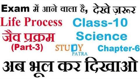 Study Patra-Class 10 Science,Chapter-6 Life Processes (Part 3)
