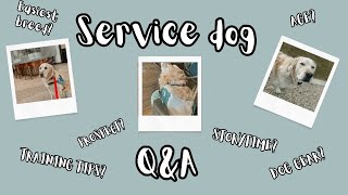 Q&A Service Dog Edition!
