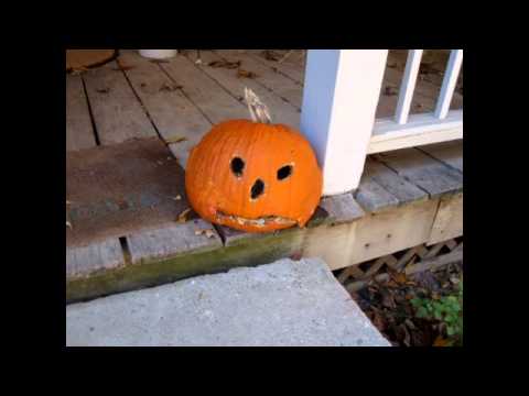 shooting in dc The Hickok45 Radio Show Episode 10 (3-19-11)