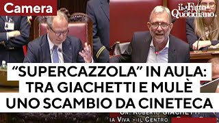 Mulé riprende il deputato M5S per aver utilizzato il termine 