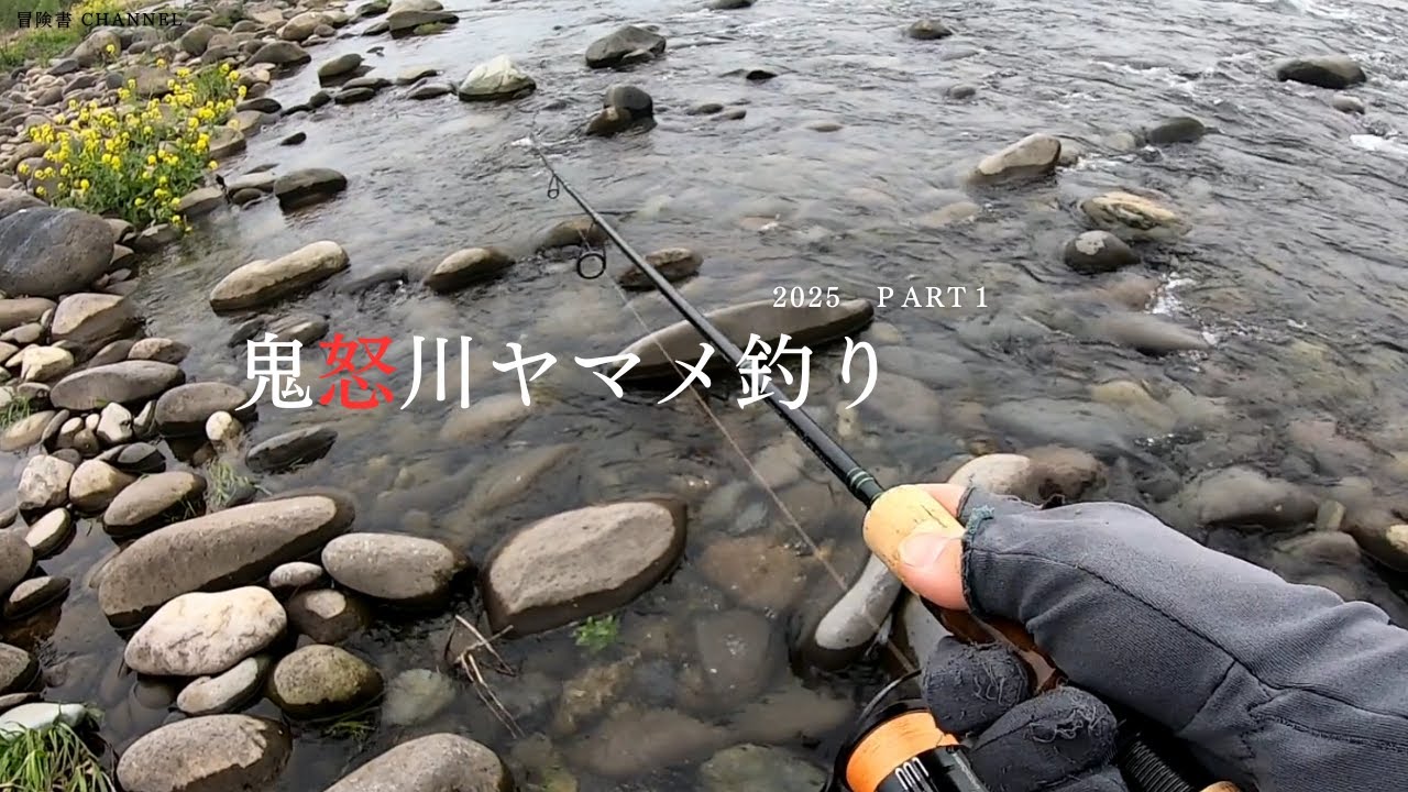 鬼怒川で本流ヤマメを釣る！【2025本流ヤマメ釣り】