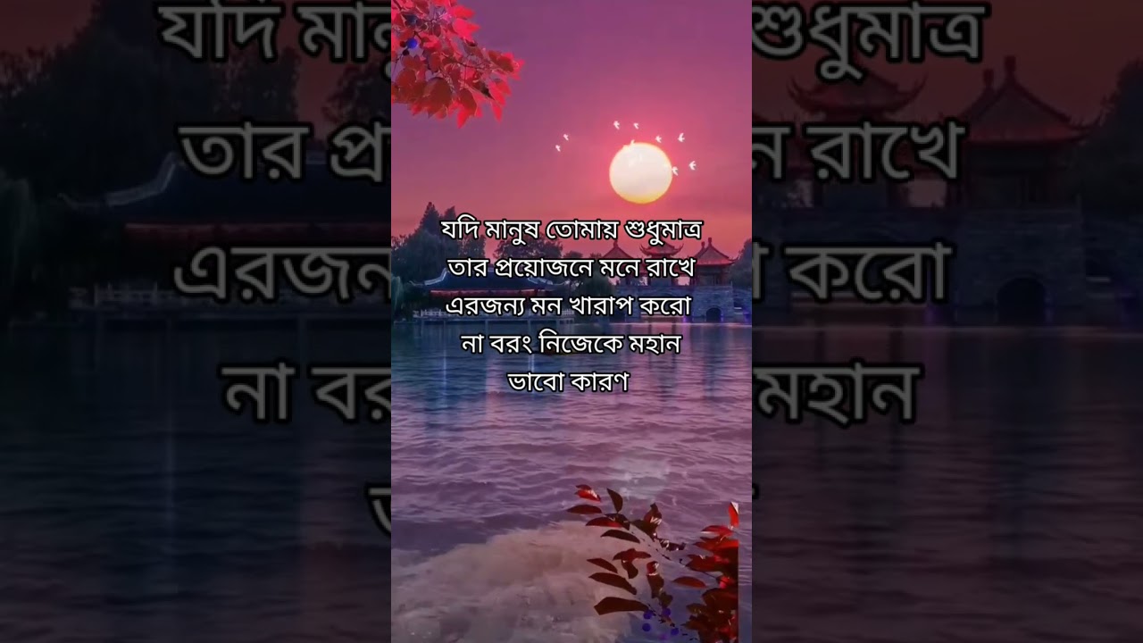 Best powerful heart touching quotes Bengali | heart touching motivational quotes Bangla #shorts