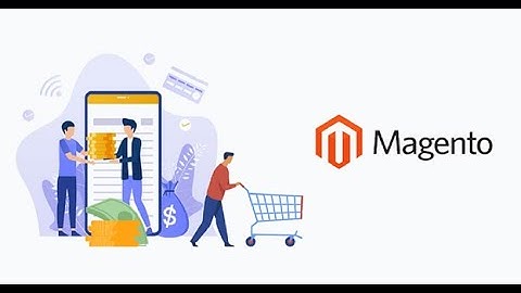 How to Build a Successful Online Store Using Magento?