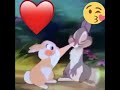 اجمل حالة حب بين الارنب