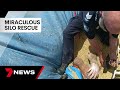 Miraculous footage of two police officers rescuing a farmer from grain silo | 7 News Australia