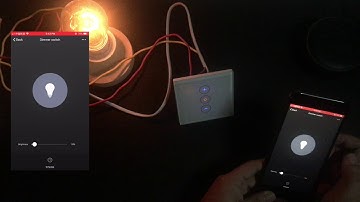Tuya Dimmer Panel Switch - Mumubiz