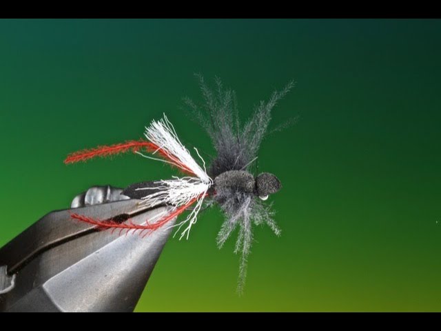 Fly Tying a Foam Bibio Pomonae dry fly with Barry Ord Clarke