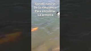 LAGO DEL TORREON LUZURIAGA MENDOZA