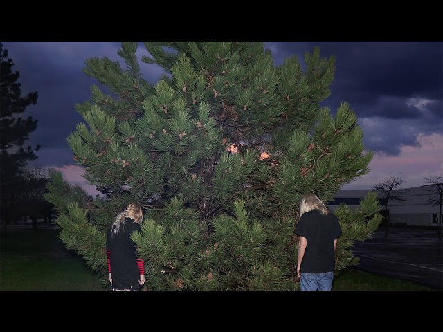 Mystericon - Íî÷ü