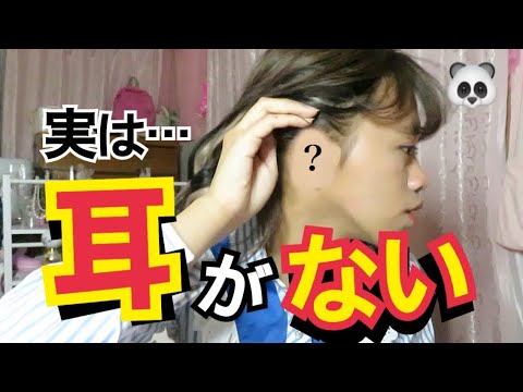 【報告】耳がない