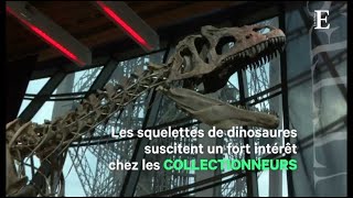 Pour 2 millions d'euros, un collectionneur s'est offert... un dinosaure