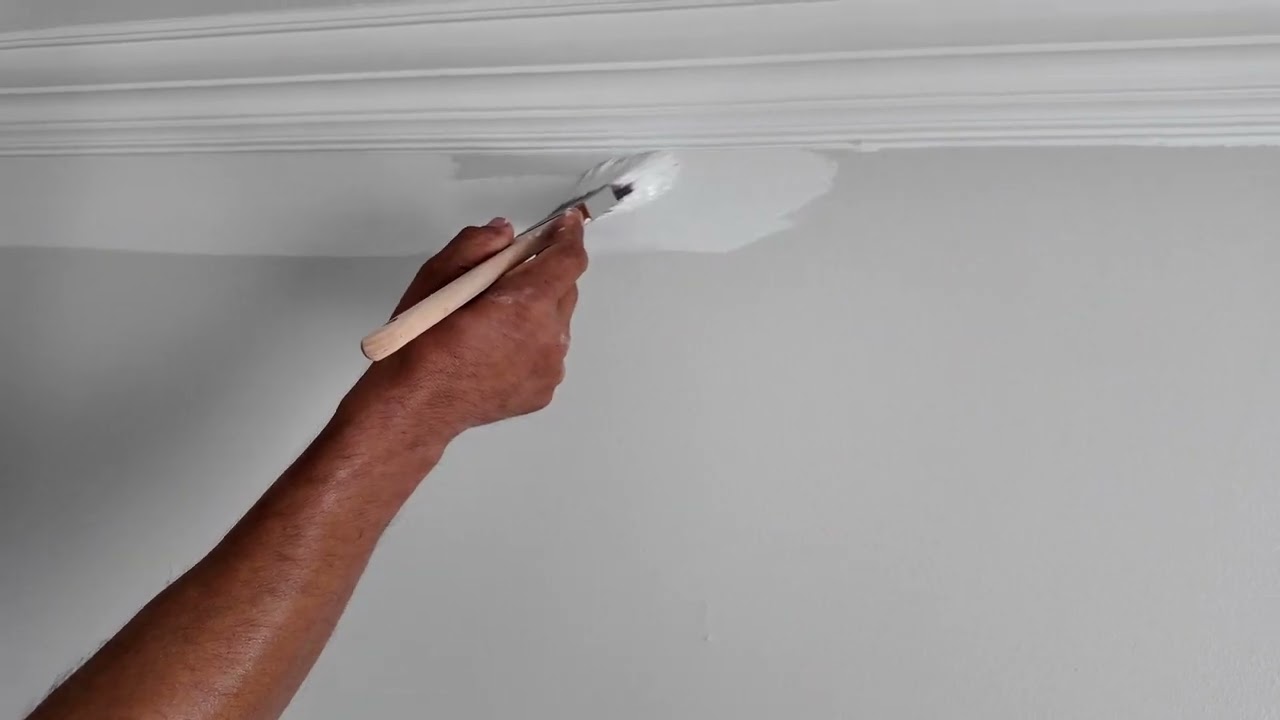 Restoring and Repainting: A Guest Room Revival After Hurricane Helene