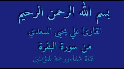 القارئ علي السعدي