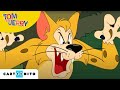 Tom și Jerry | Trei păsărele | Boomerang