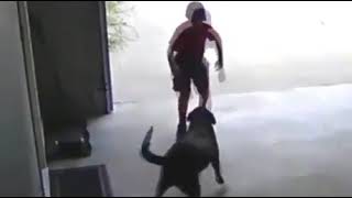 Boy runs into neighbor's garage to hug dog | Dog Videos | 9GAG