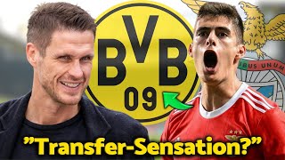 BVB: EXKLUSIV SCHAU HIER ERSCHÜTTERTE DIE MENGE NEUESTE NACHRICHTEN VON BORUSSIA DORTMUND