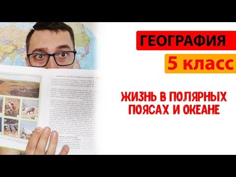 География 5 класс | Жизнь в полярных поясах и океане