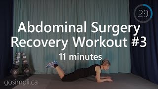 Abdominal Surgery Recovery Workout #3/C-Section Recovery Workout:Floor DR/Ab Separation Repair